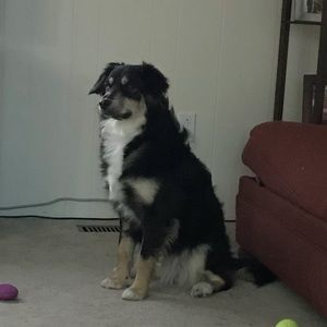 Meet your Posher, Brad